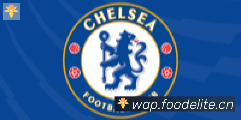 九游网页版登录入口合作伙伴